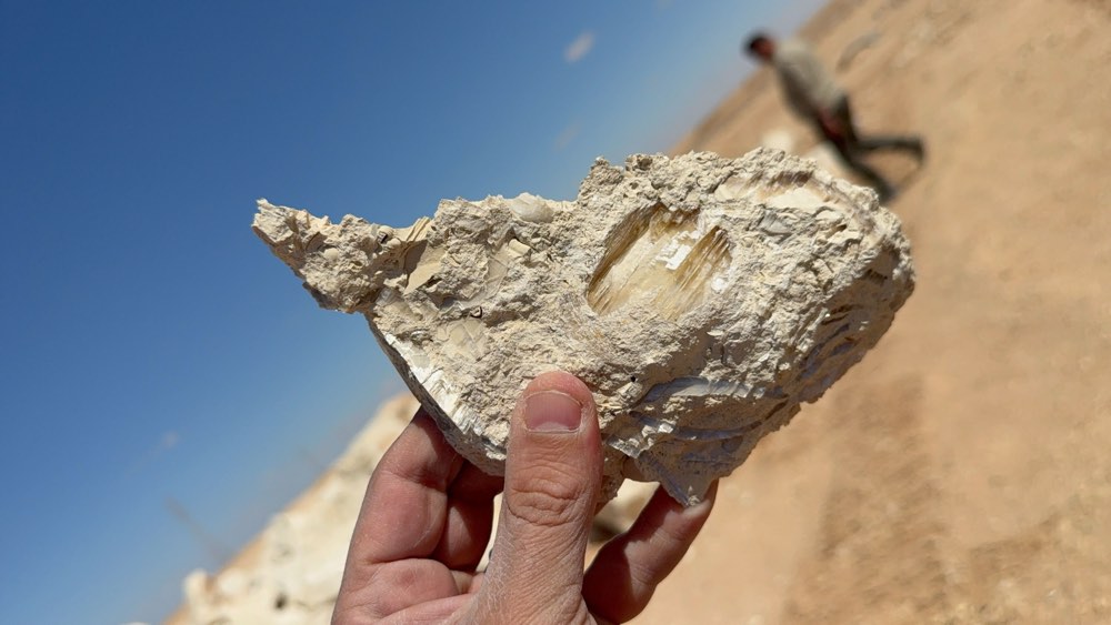 A fragment of Desert Shell Crystal held against the sky