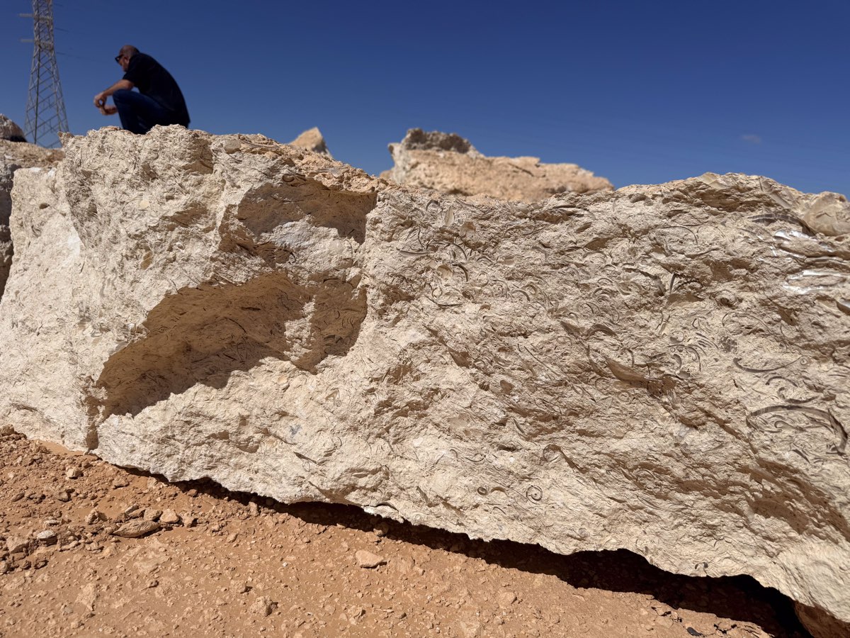 A raw block of Desert Shell Crystal under a clear desert sky